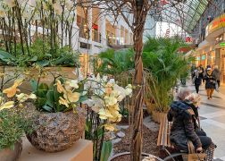 Fruehling In Der Goethe Galerie Jena 000014